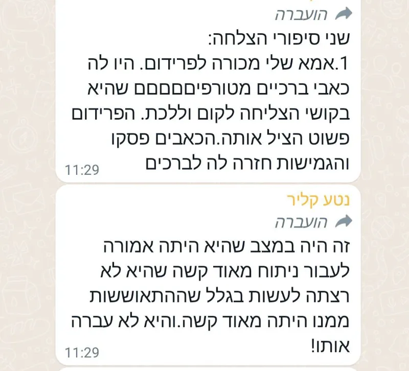 משקה פרידום