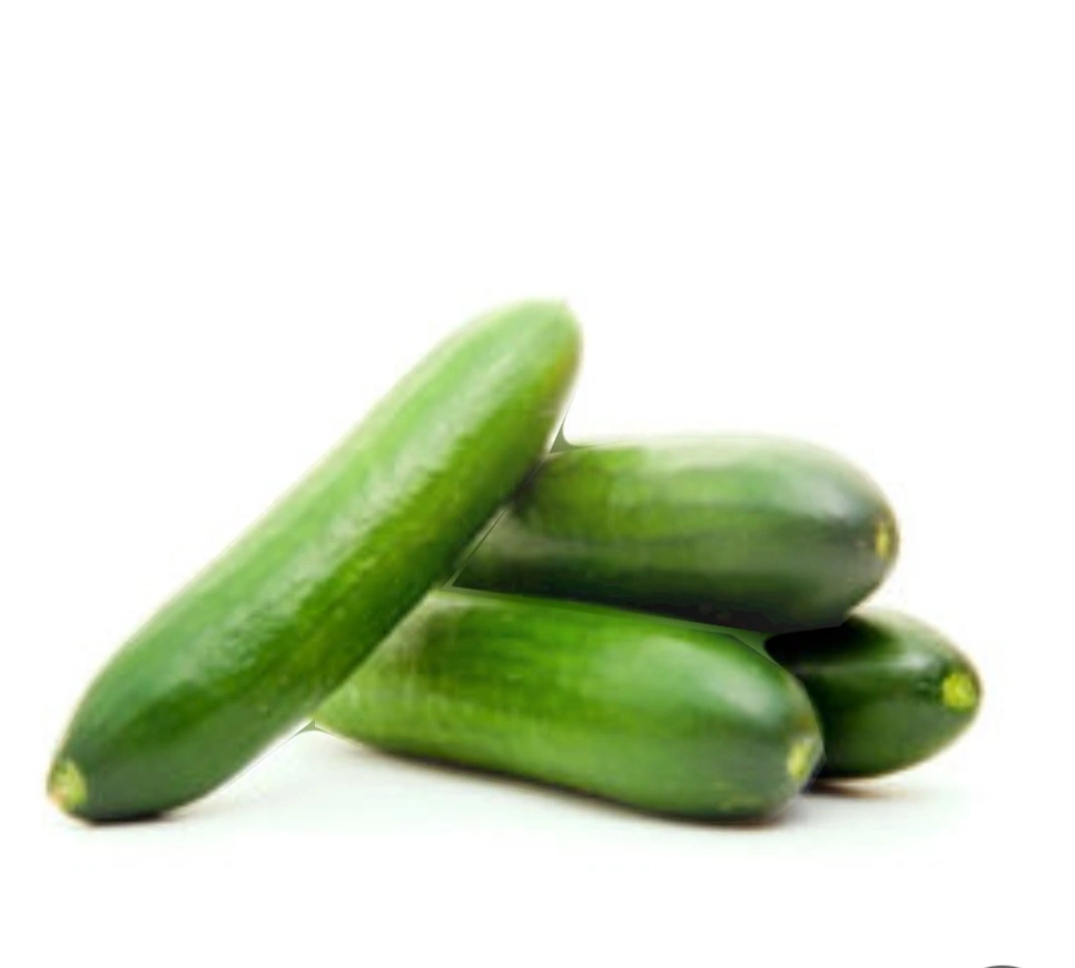 מלפפון ישראלי
