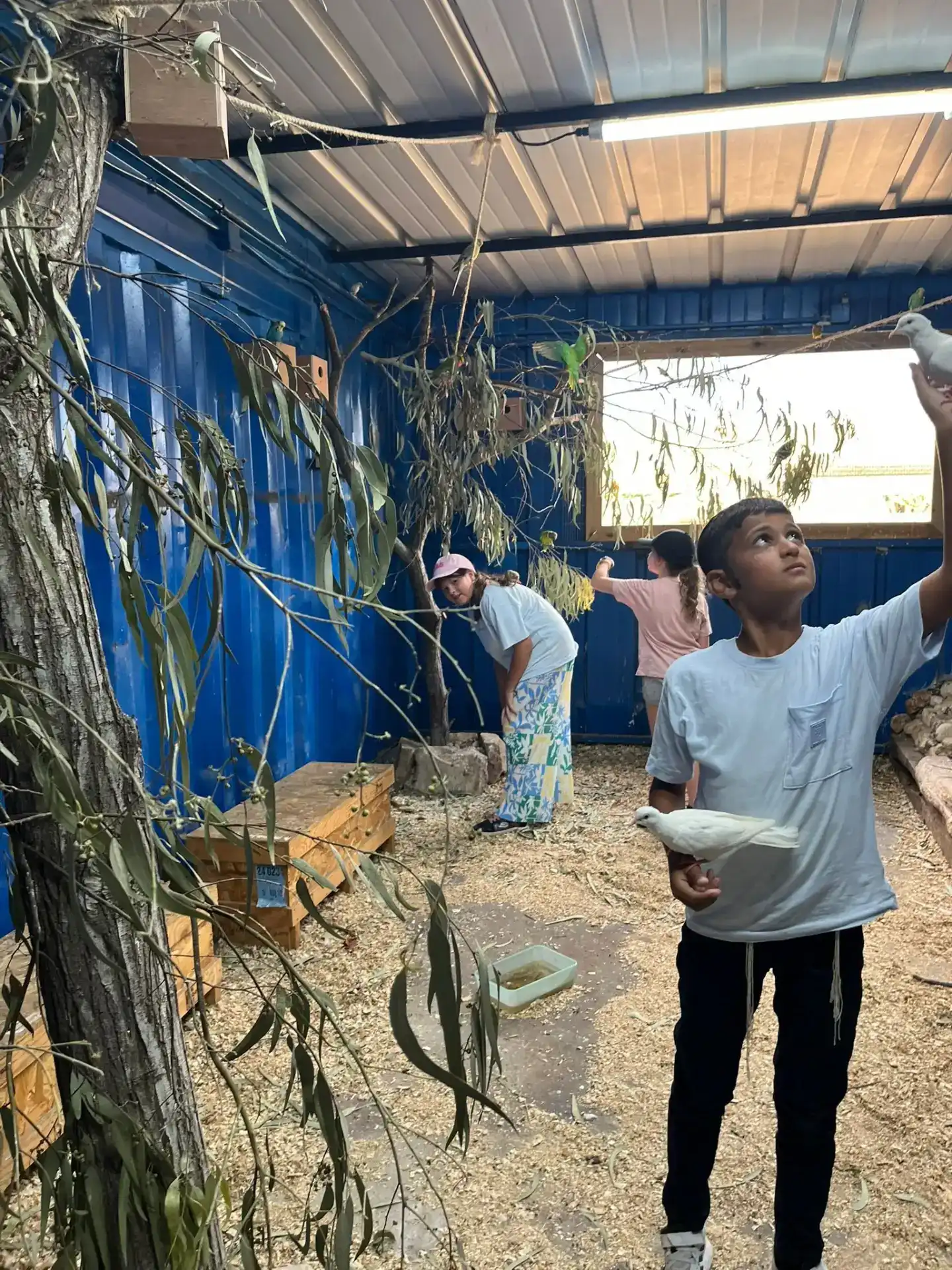 סיורים חינוכיים – למידה חווייתית מחוץ לכיתה