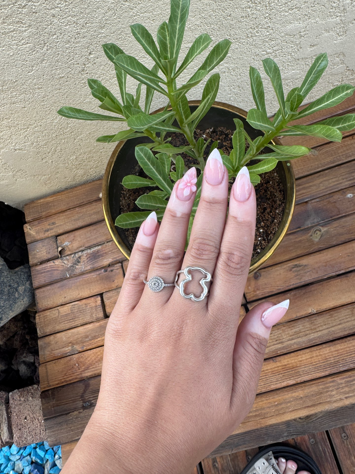 לק ג׳ל בישוב ספיר – מראה מבריק שנשאר | Sandra Clinic