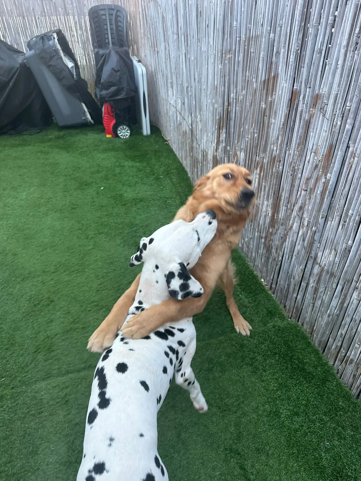 פנסיון שהות