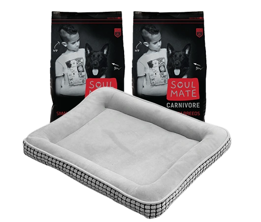 SOUL MATE - CARNIVORE