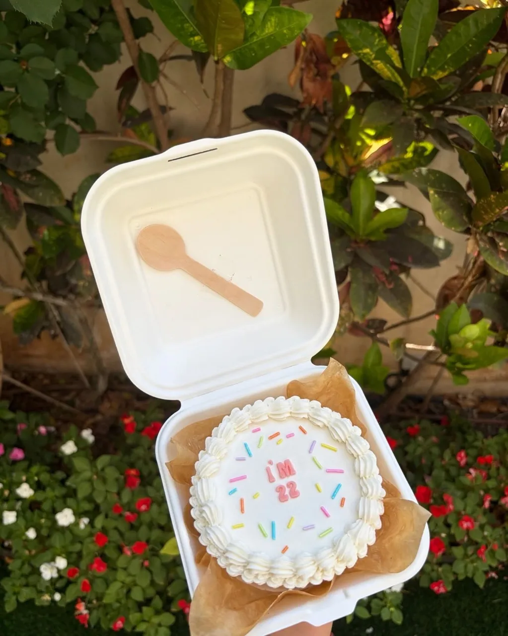 עוגת בנטו