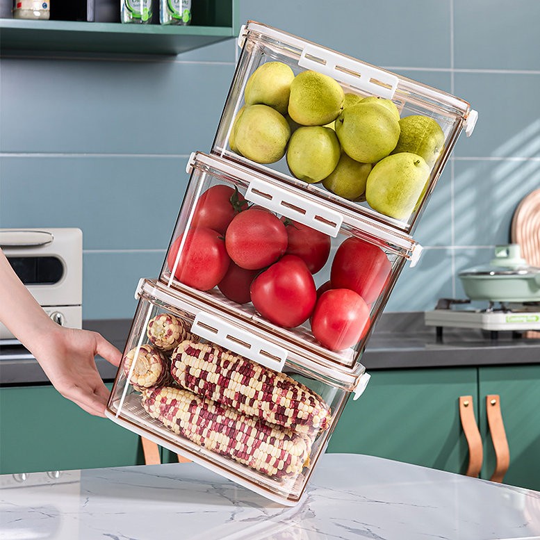 קופסת איחסון 5.5 ליטר LEXUS 