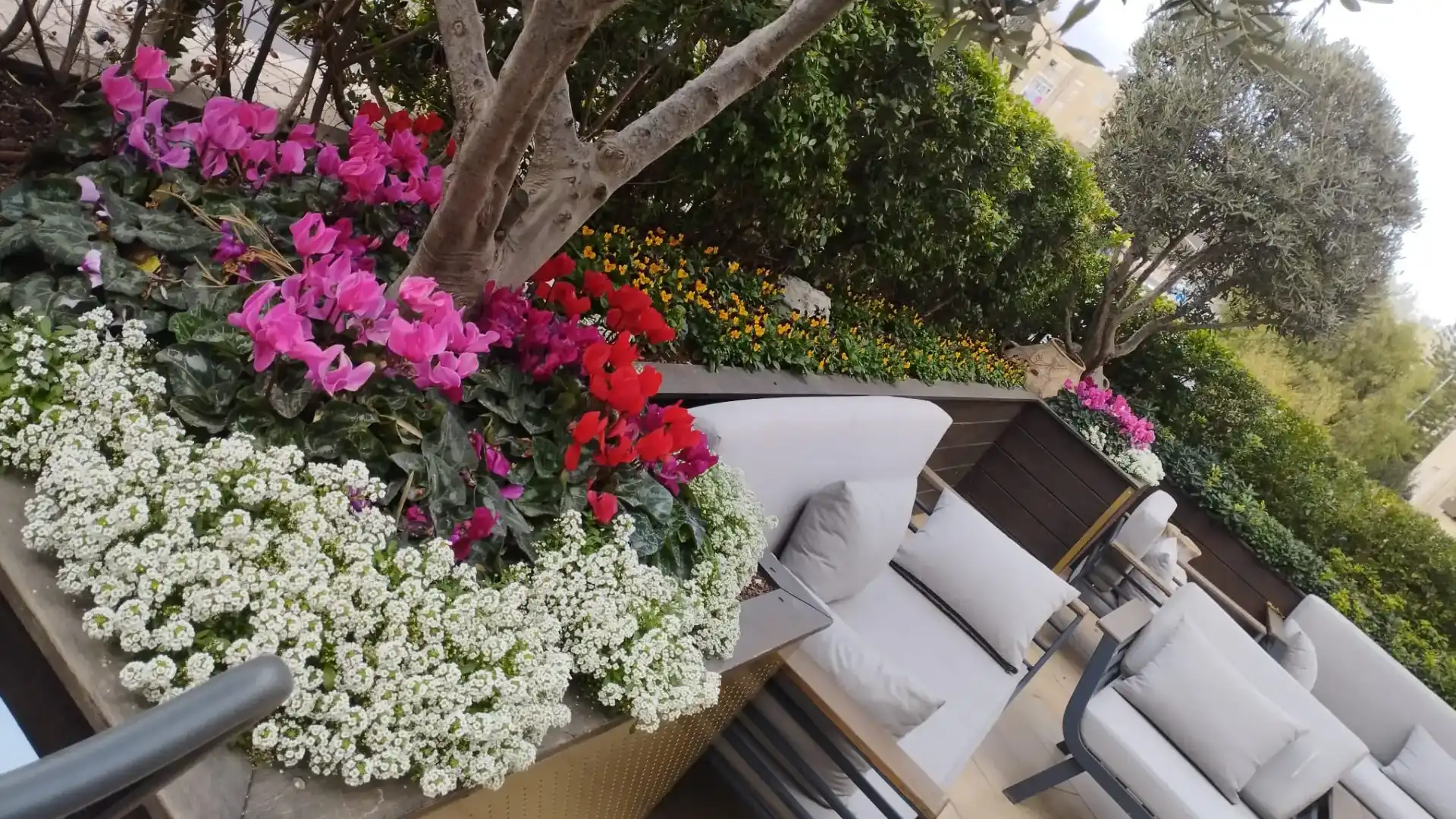 איך להפוך מרפסת רגילה למרפסת בוטיק מהממת