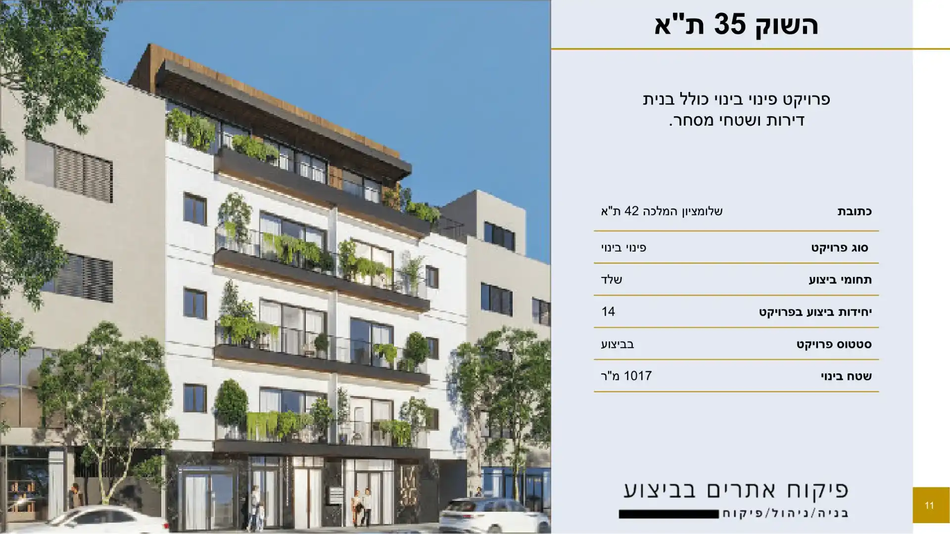 פרויקט בניה יזמות- ת"א