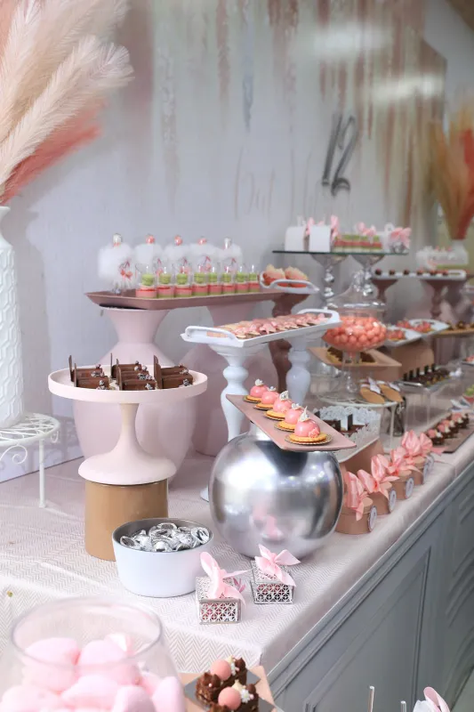 עוד מבר בת מצווה ורוד כסף