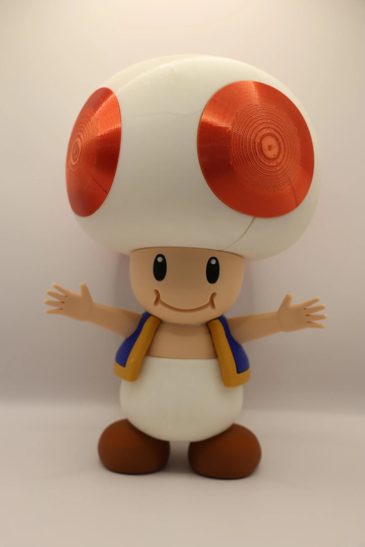 TOAD. טוד