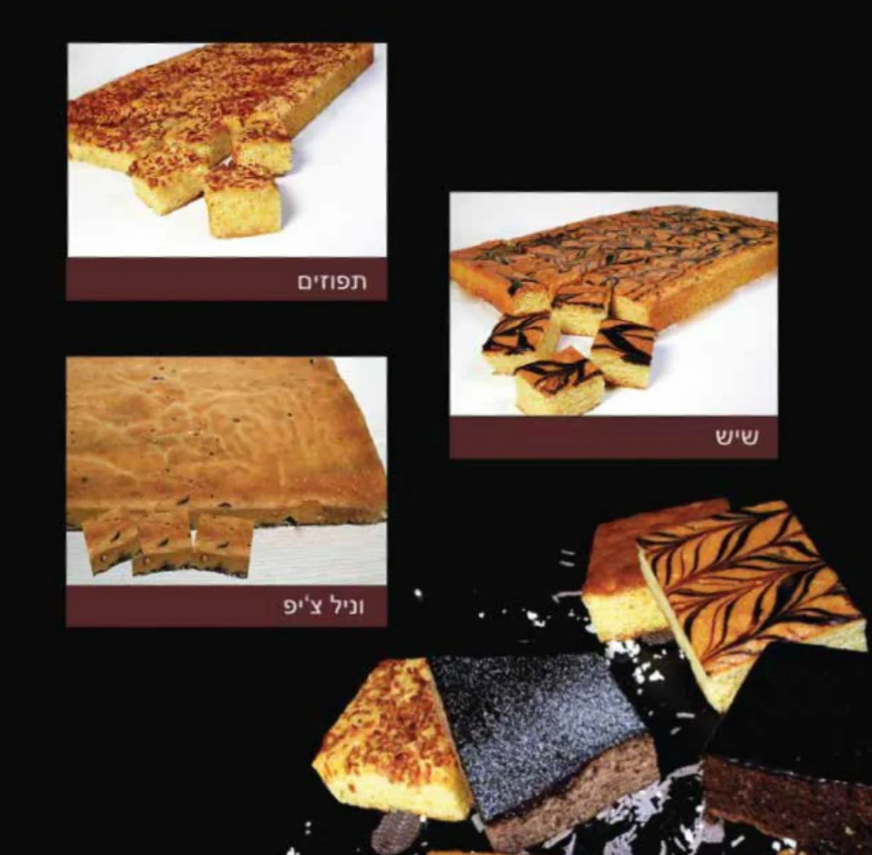 פלטות בחושות