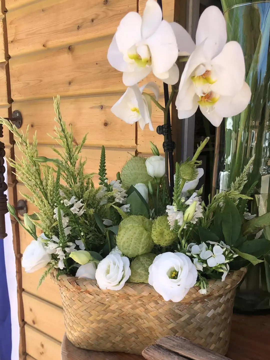 זרים בסלסלה כמתנה