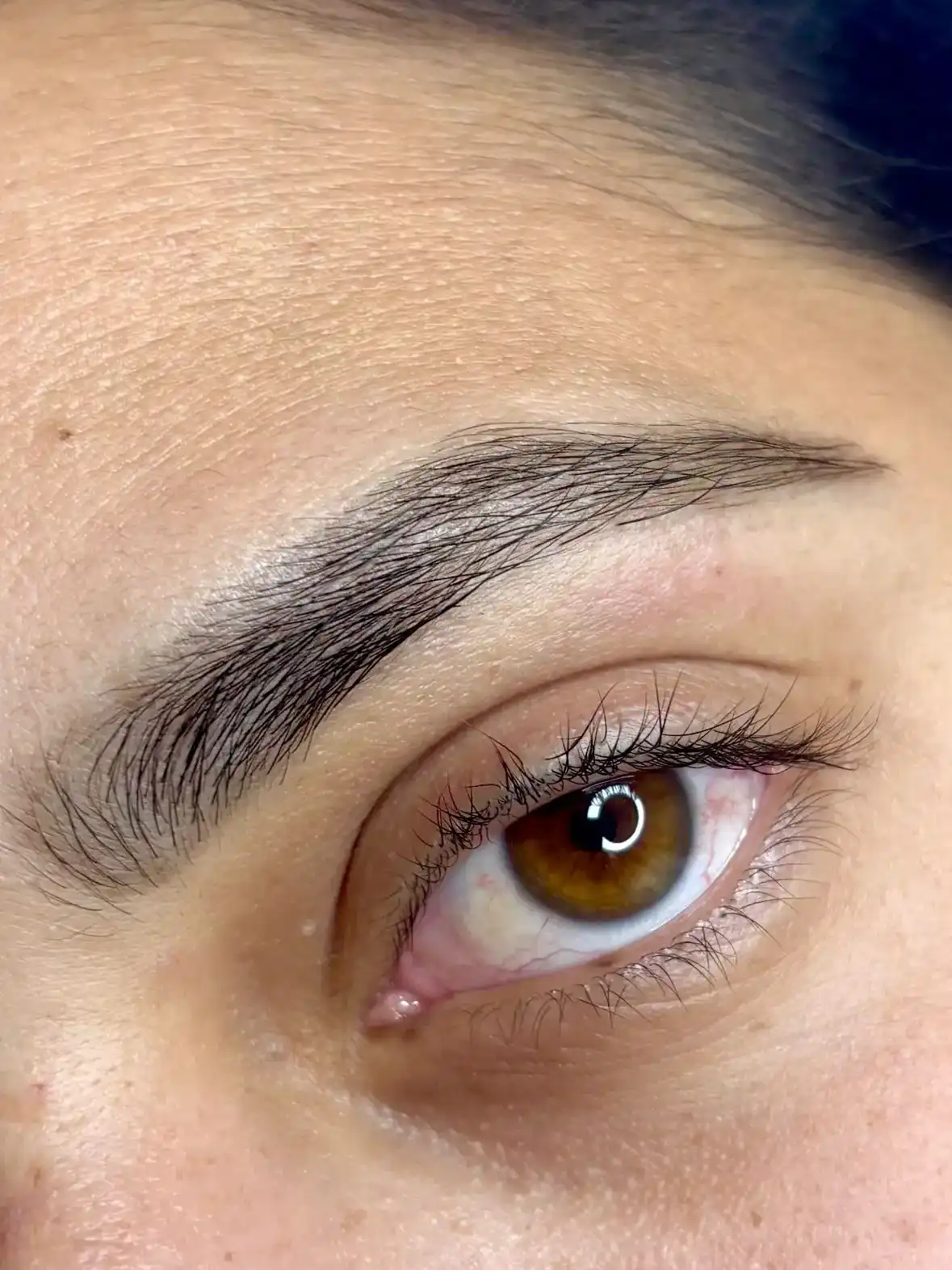 עיצוב ושיקום גבות