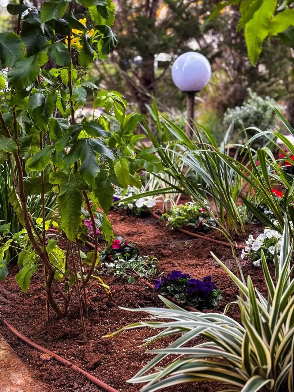 פתרונות השקיה