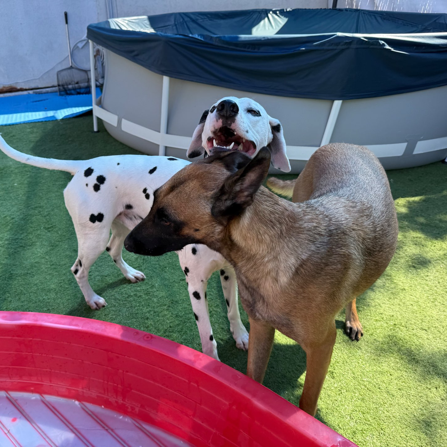 פנסיון שהות