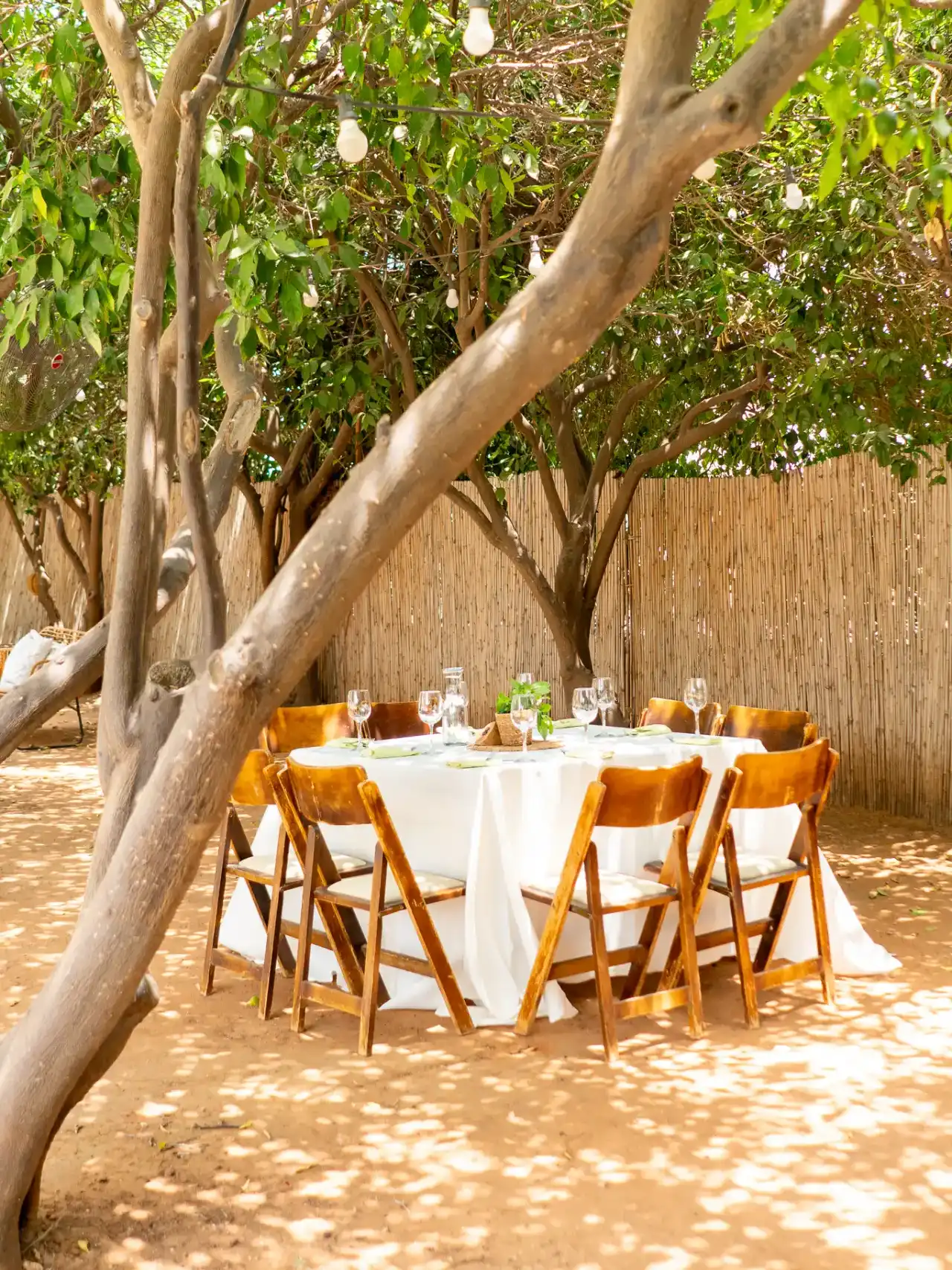 צילום אירועים