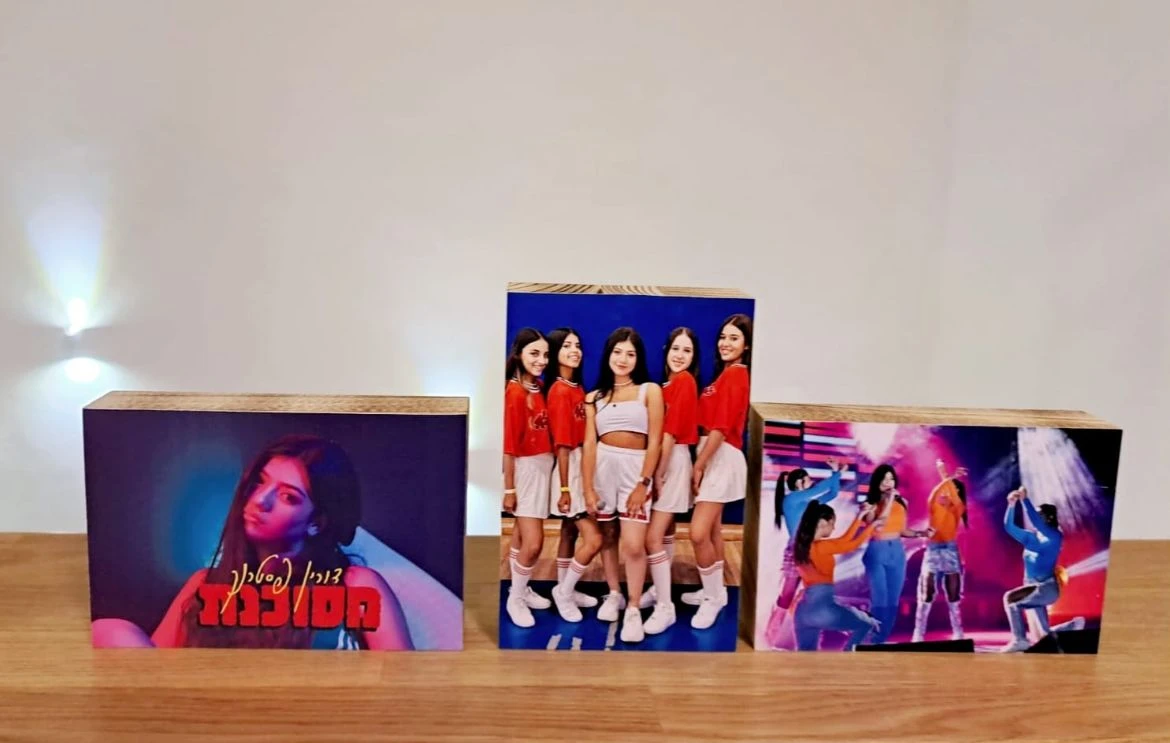 בלוקי עץ ומגנטים