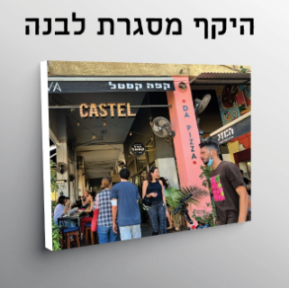הדפסה על קנבס עד גודל  20X30