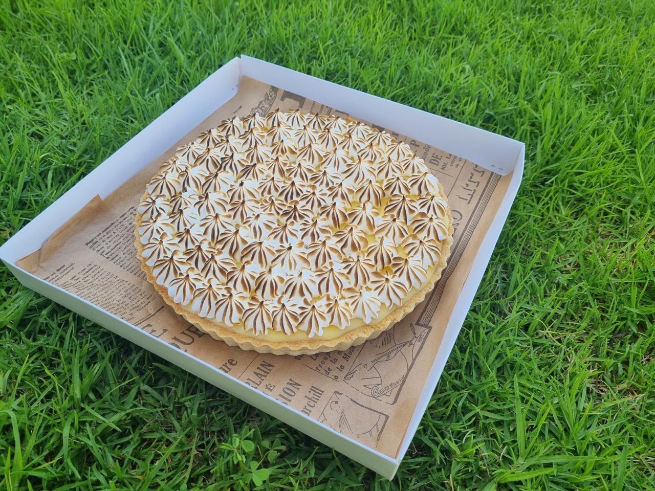 פאי שוקולד/לימון 