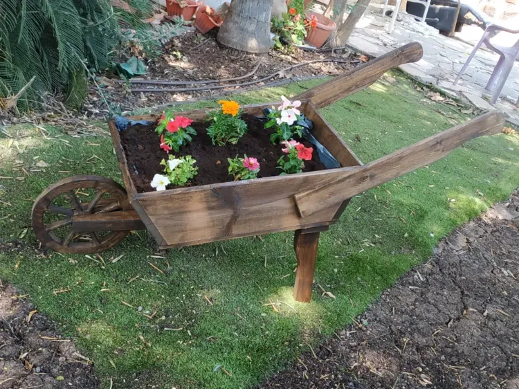 מריצה מעוצבת לנוי