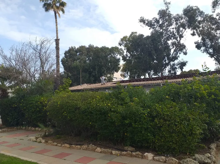 טיפול מורשה באסבסט