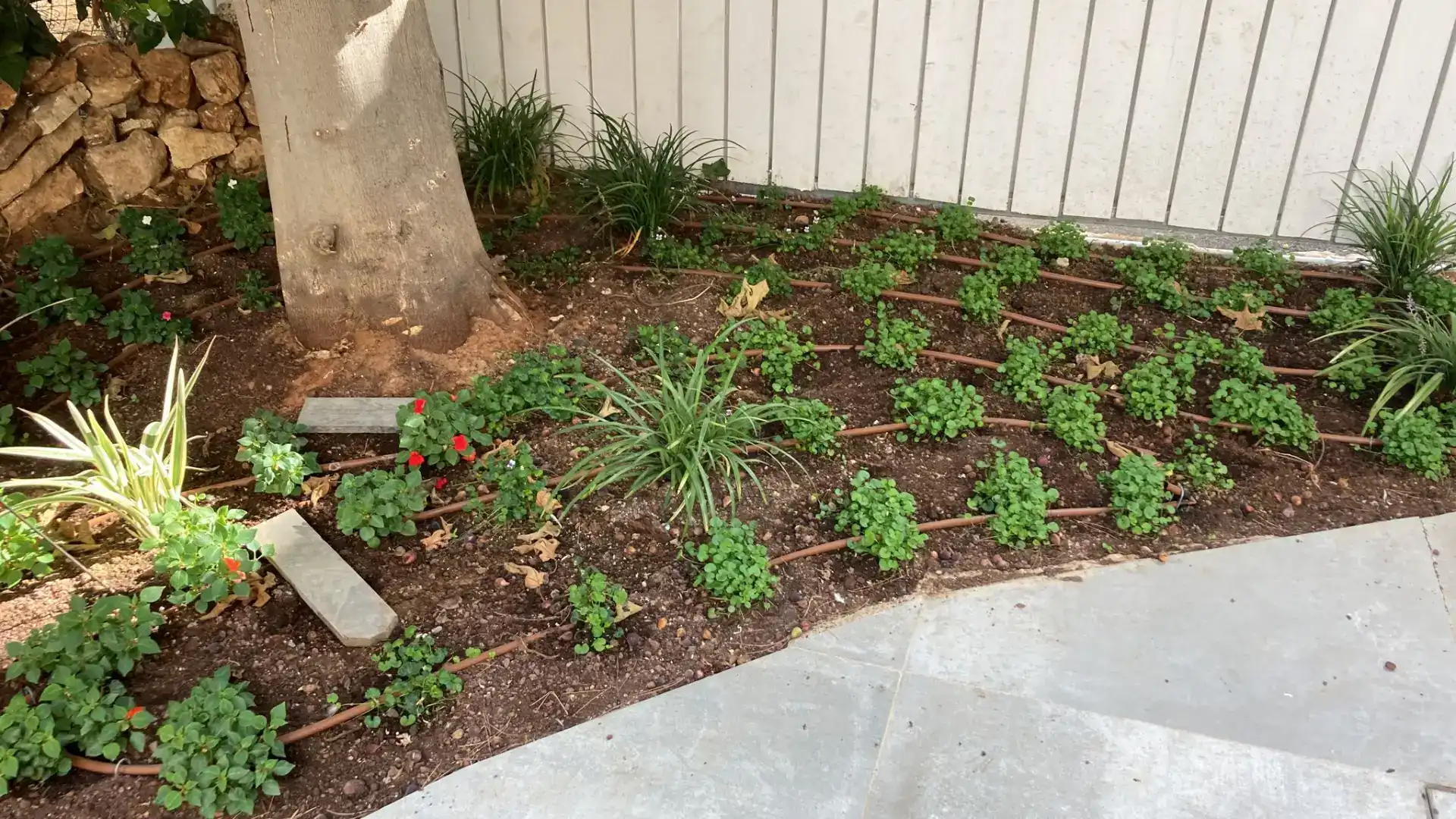 התקנת מערכות השקייה