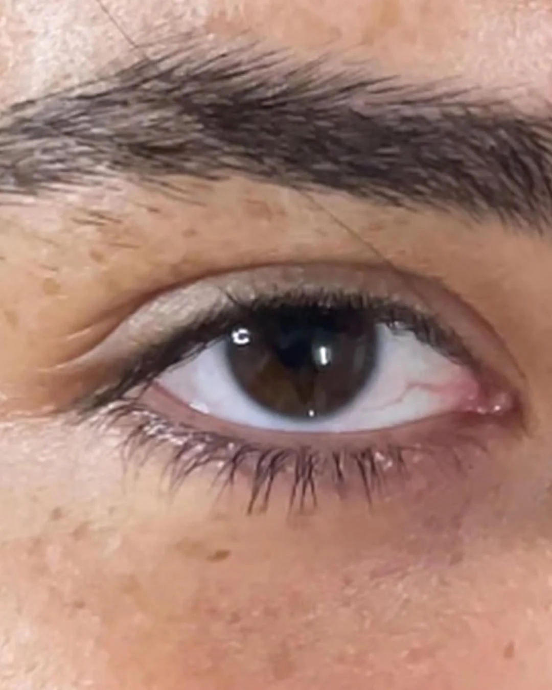 הרמת ריסים – הדגשת היופי הטבעי שלך בצורה מושלמת