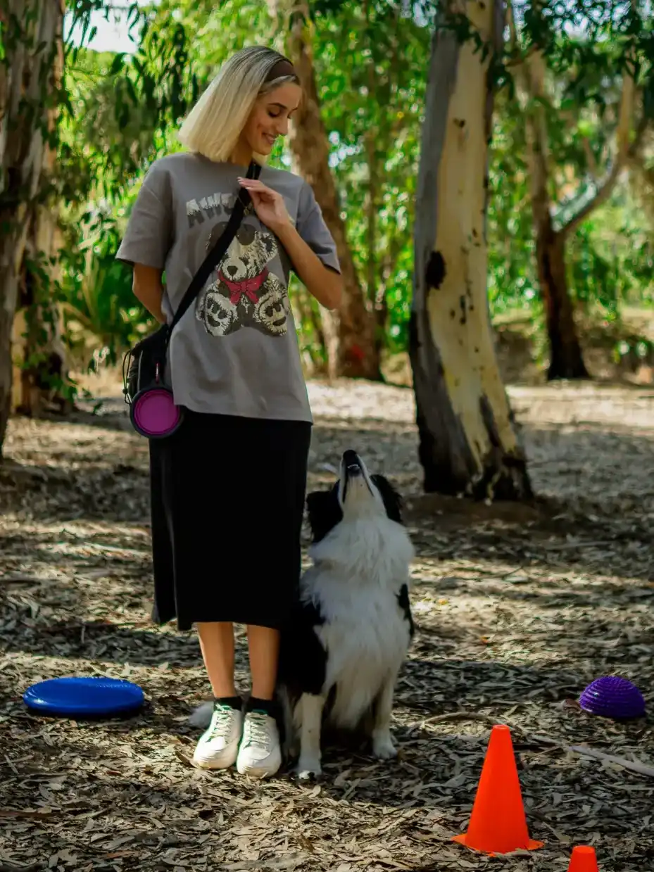צילומי תדמית