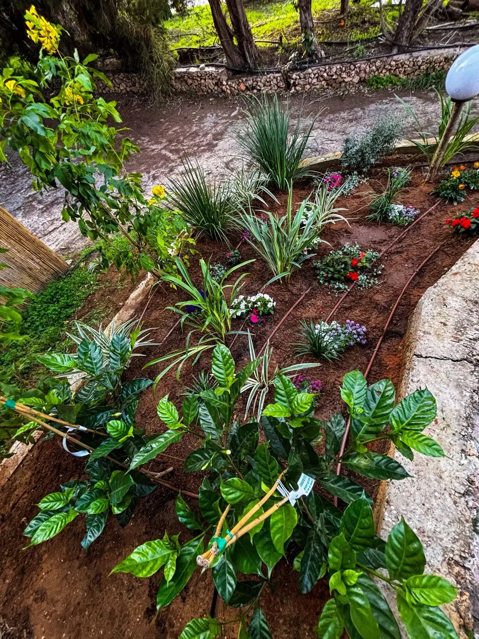 אחזקה שוטפת