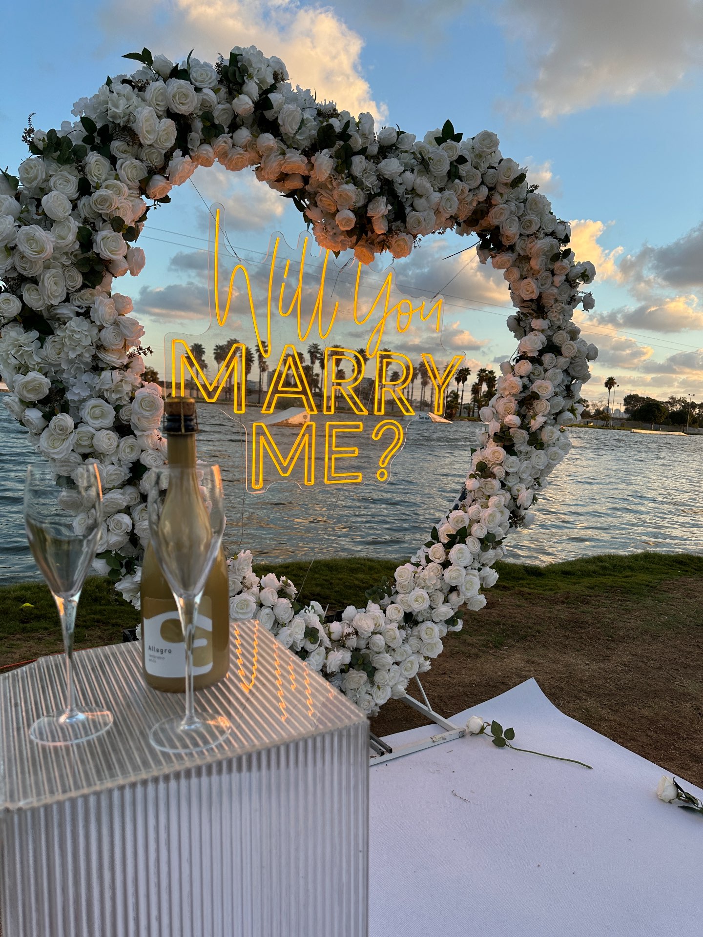 הצעות נישואין