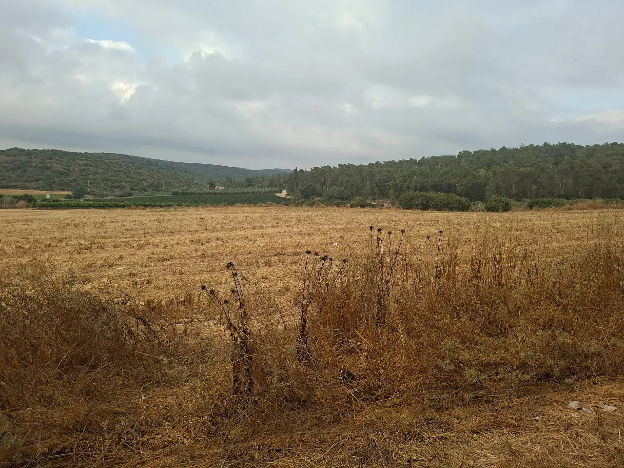 הדרכת זוגות שישי בבוקר מצפה משואה