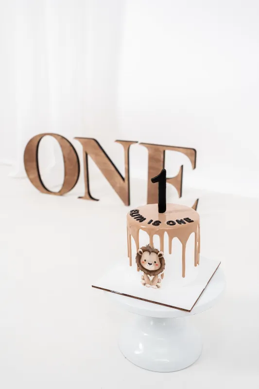 אישית טיפטופי שוקולד ואריה חמוד