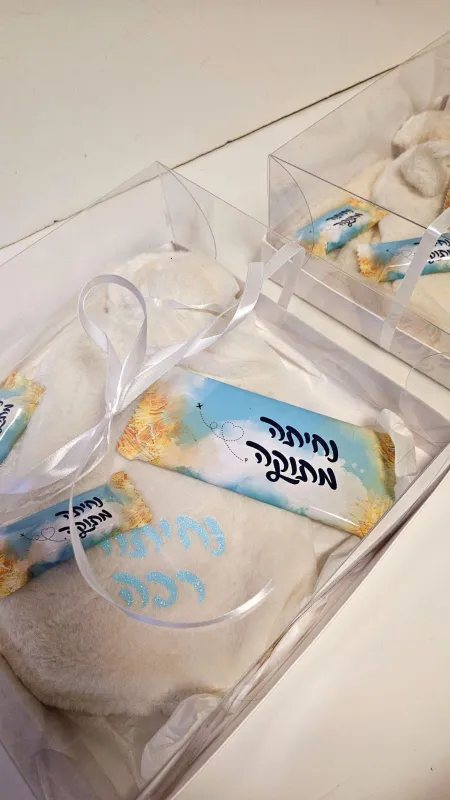 מארז טיסה חורפי