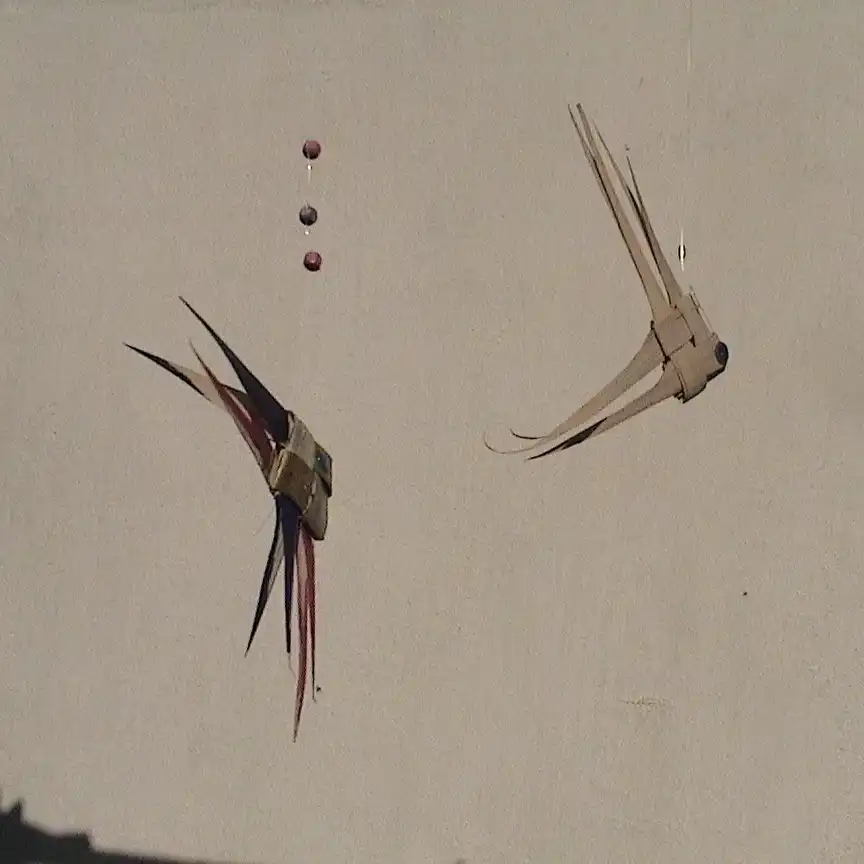 מוביל מלולבים