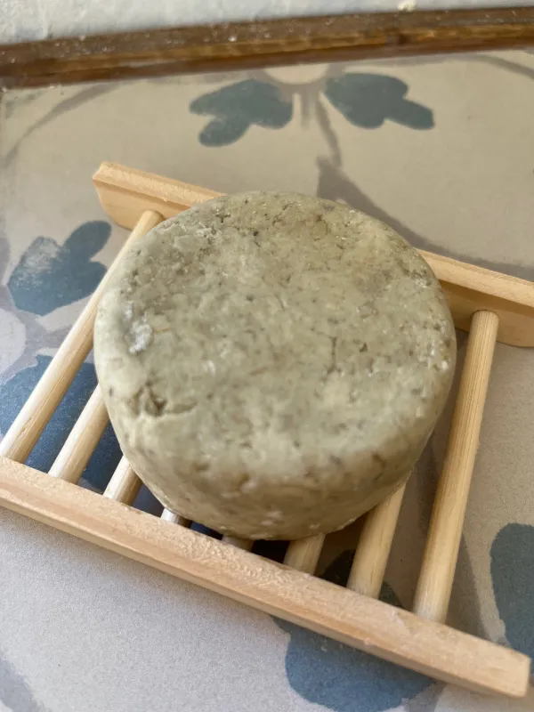 שמפו מדבר יהודה