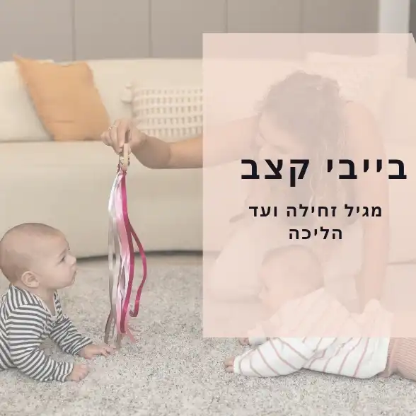 בייבי קצב - מגיל זחילה ועד הליכה