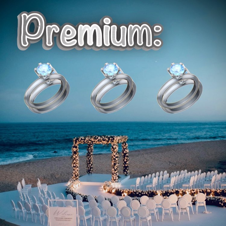 חבילה פרימיום