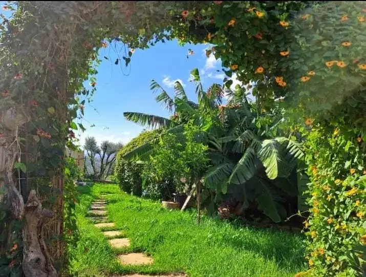 לינה בצימר קסום -בקתת פראנאימה