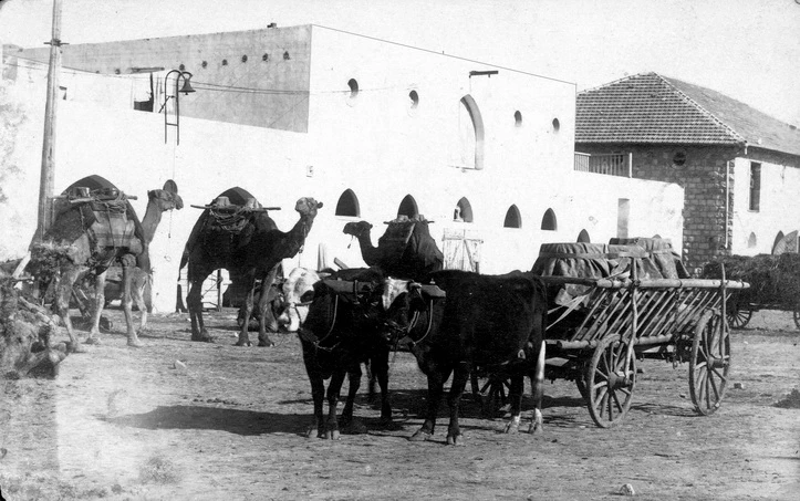 הסיפורים הלא מוכרים של מרחביה