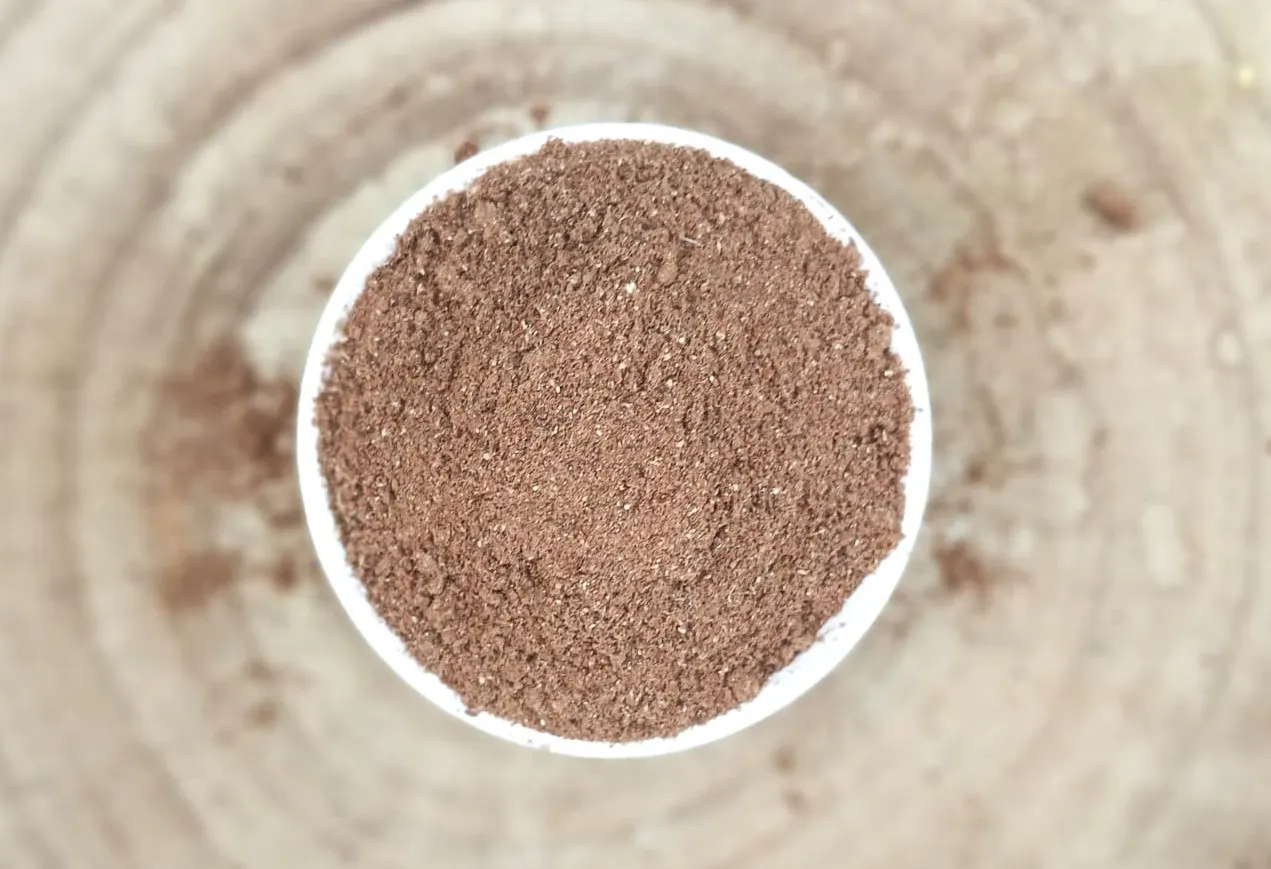 פמפקין ספייס