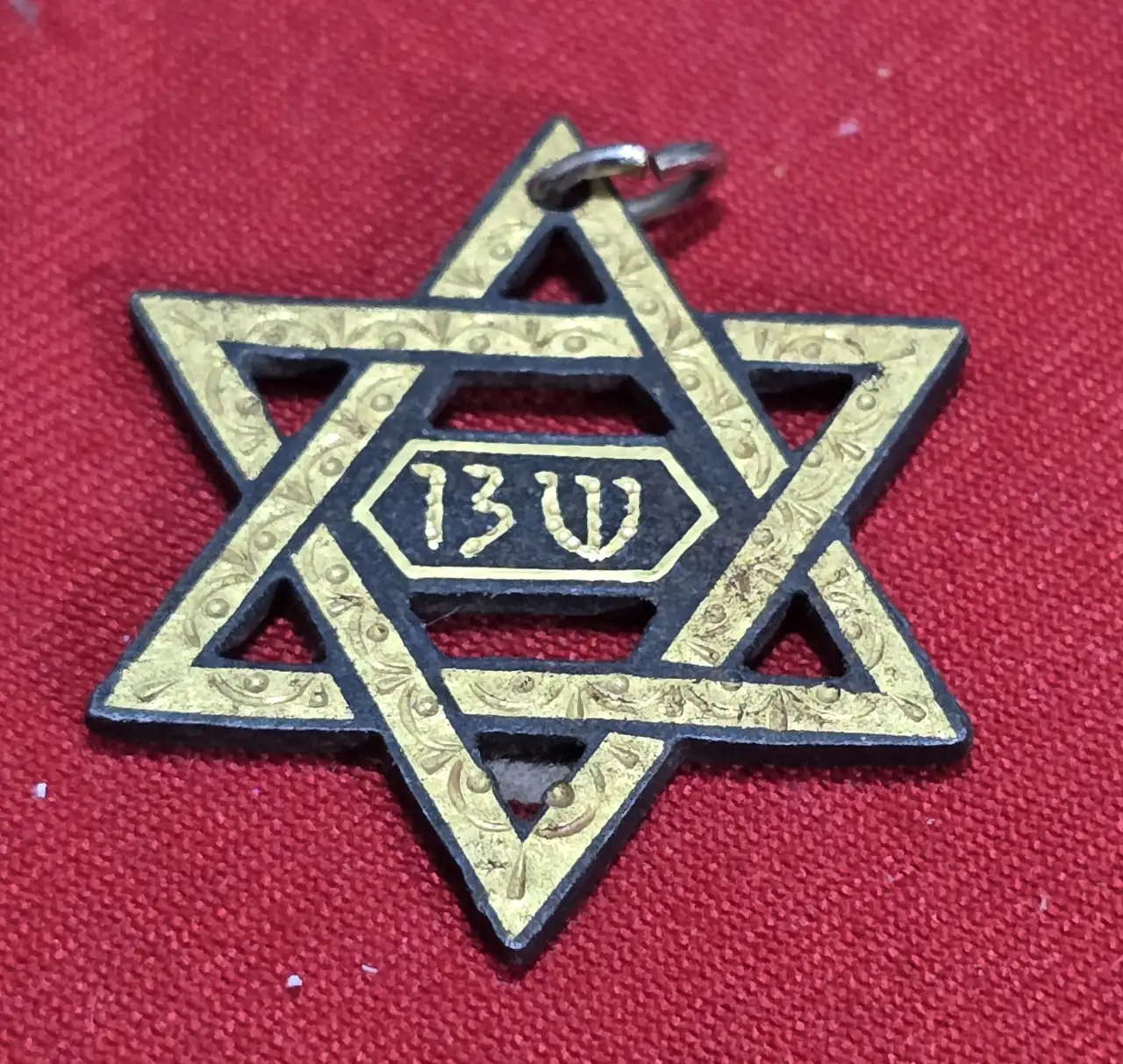 סיכה/תליון שיטת 13.צה"ל