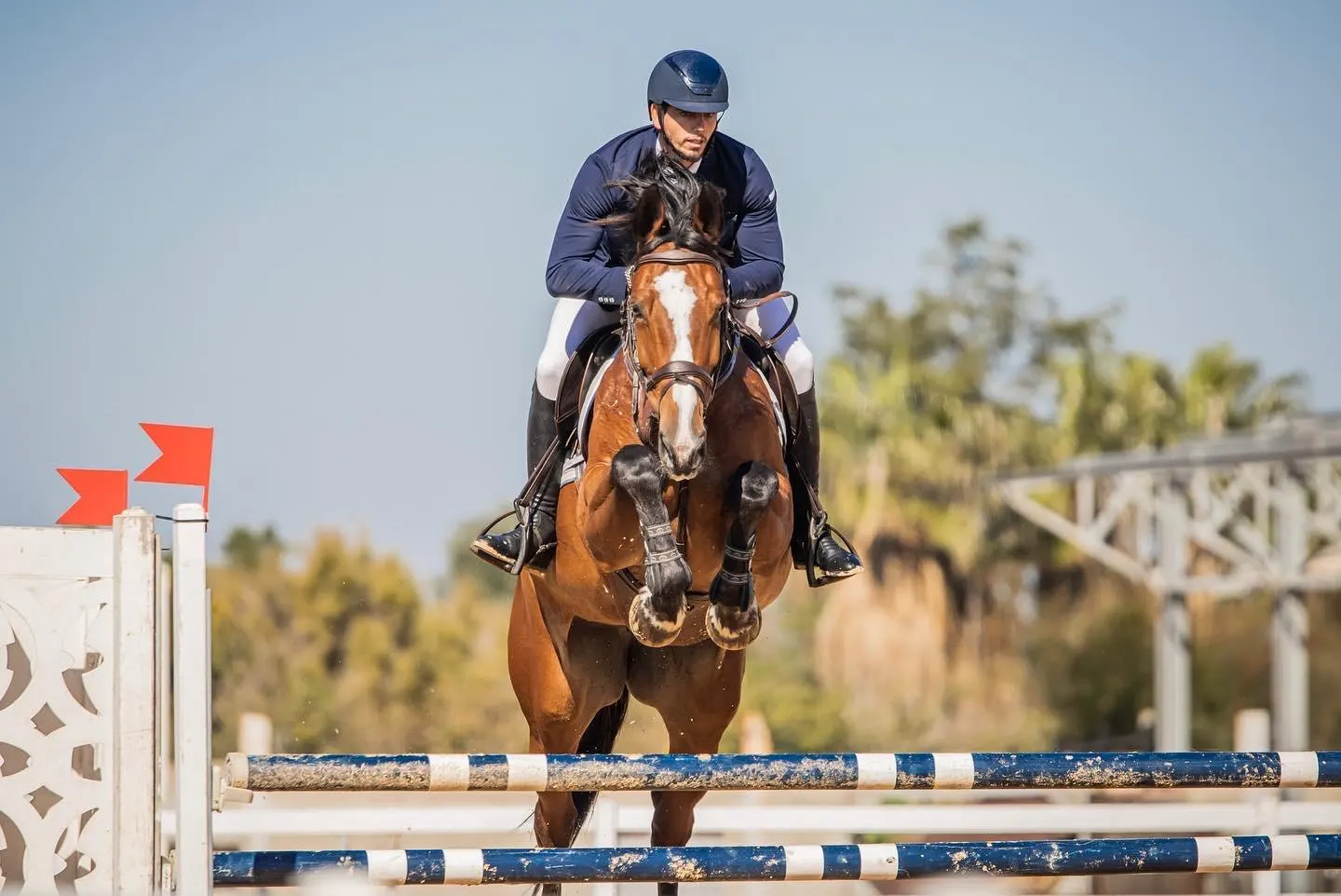 כוחו של טיפול באמצעות סוסים בחוות מרום סטייבלס