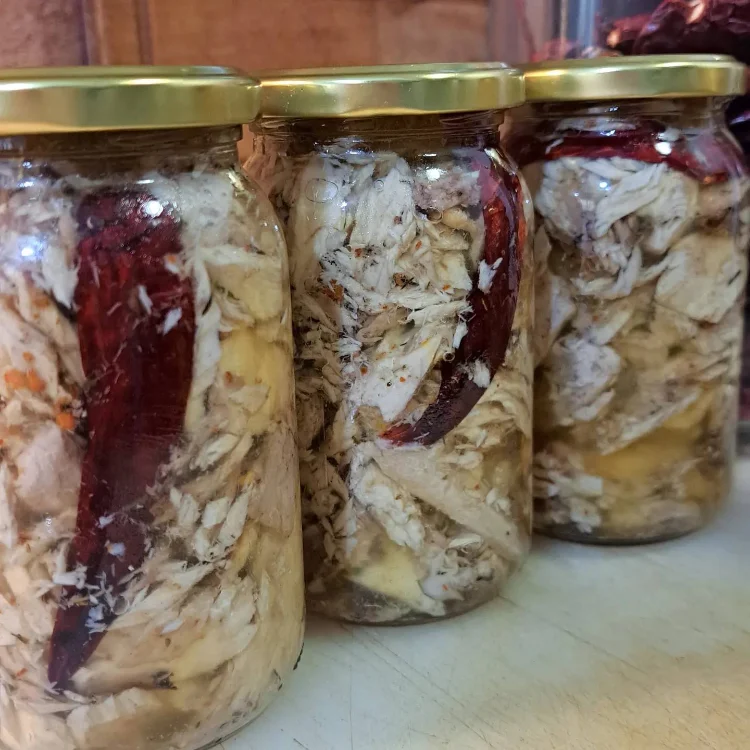 דגים כבושים