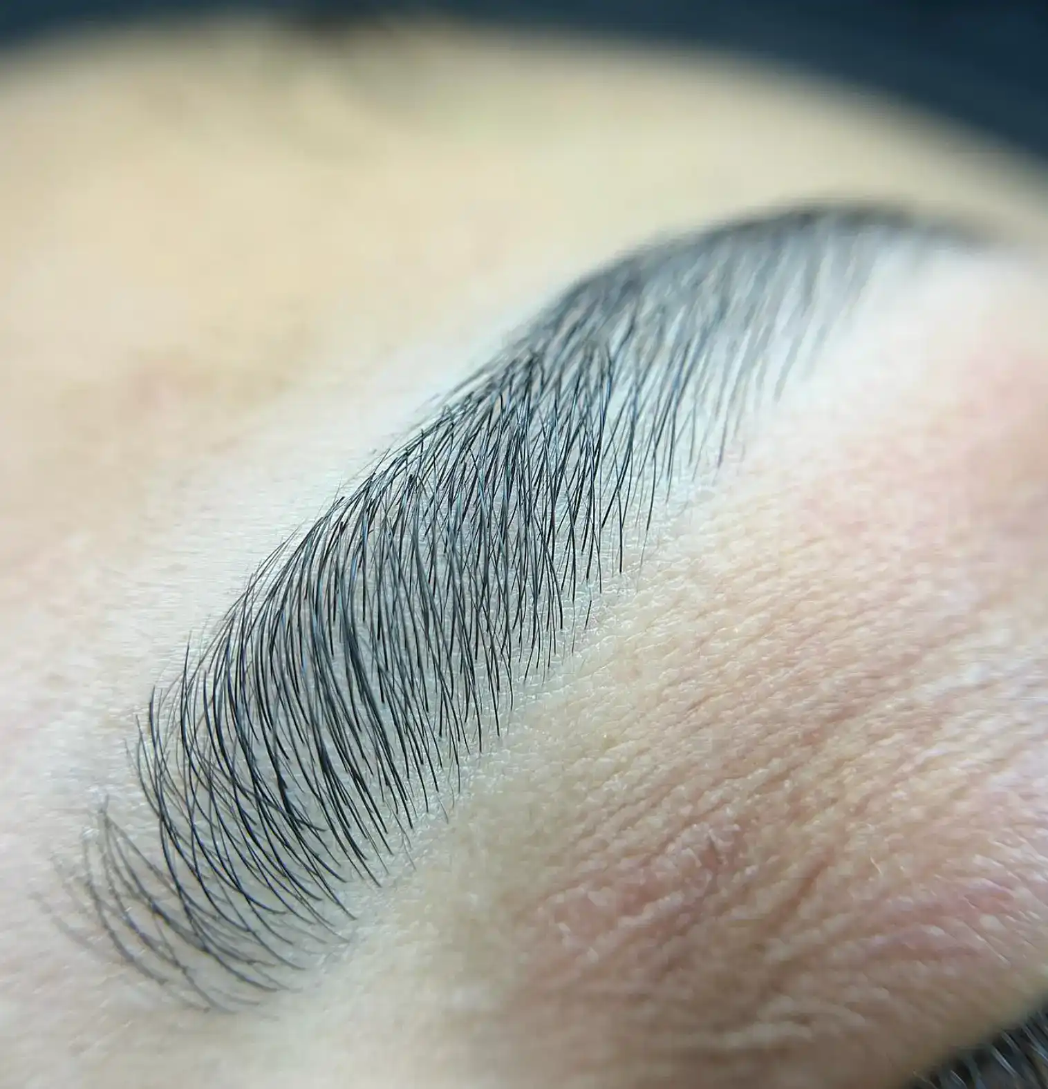 עיצוב ושיקום גבות