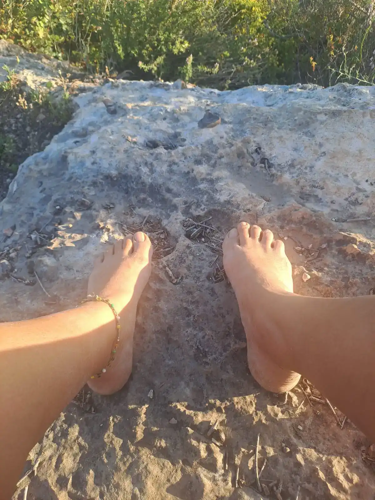 הליכות שקטות בטבע