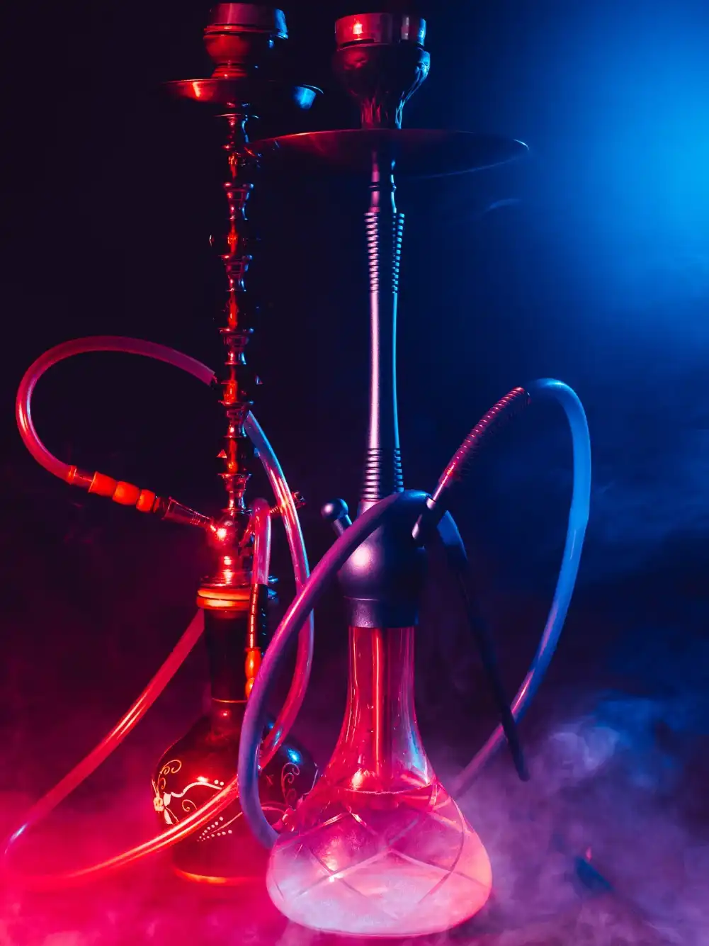 איך לבחור נרגילה שמתאימה לך