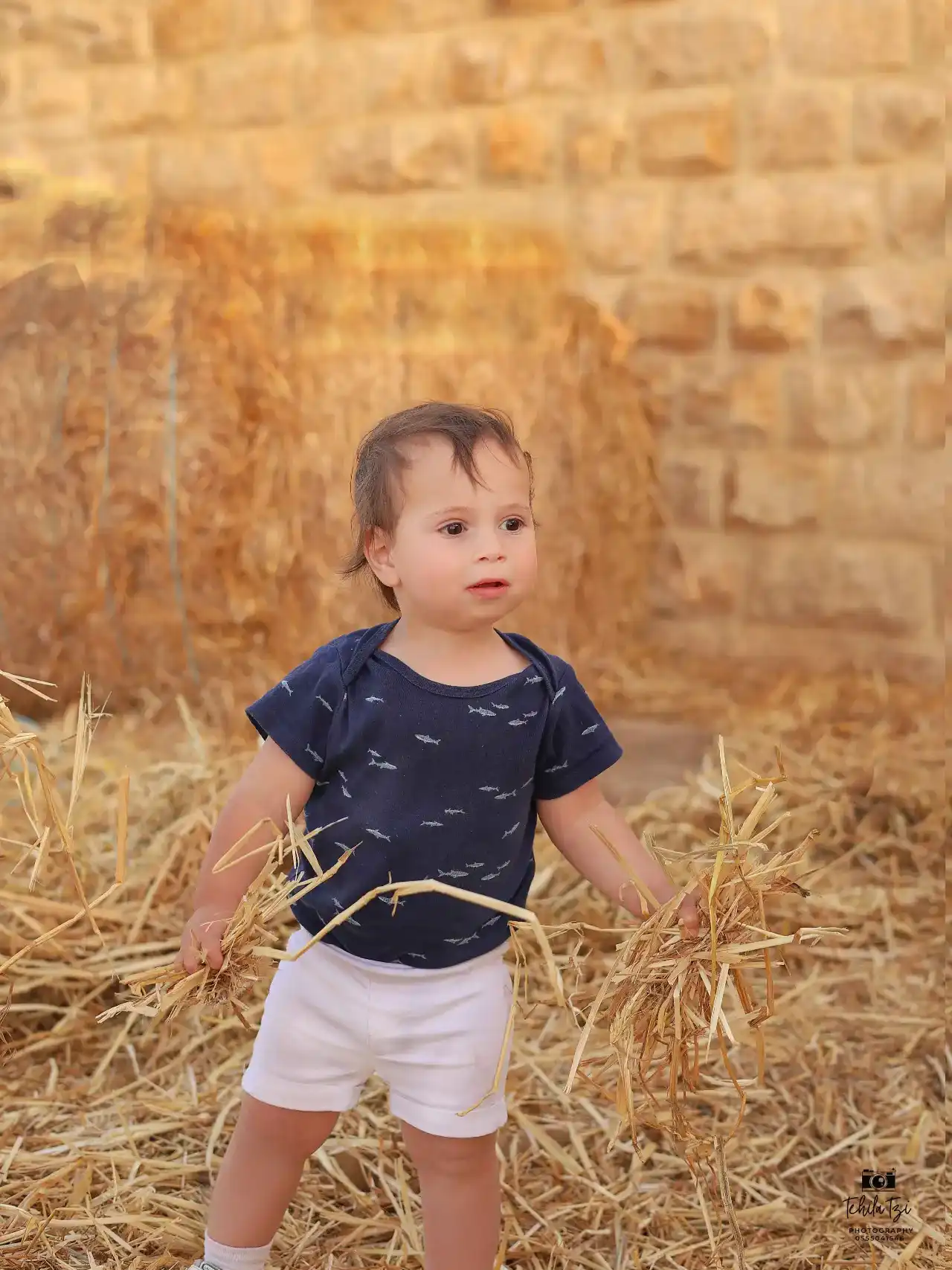 צילומי משפחה