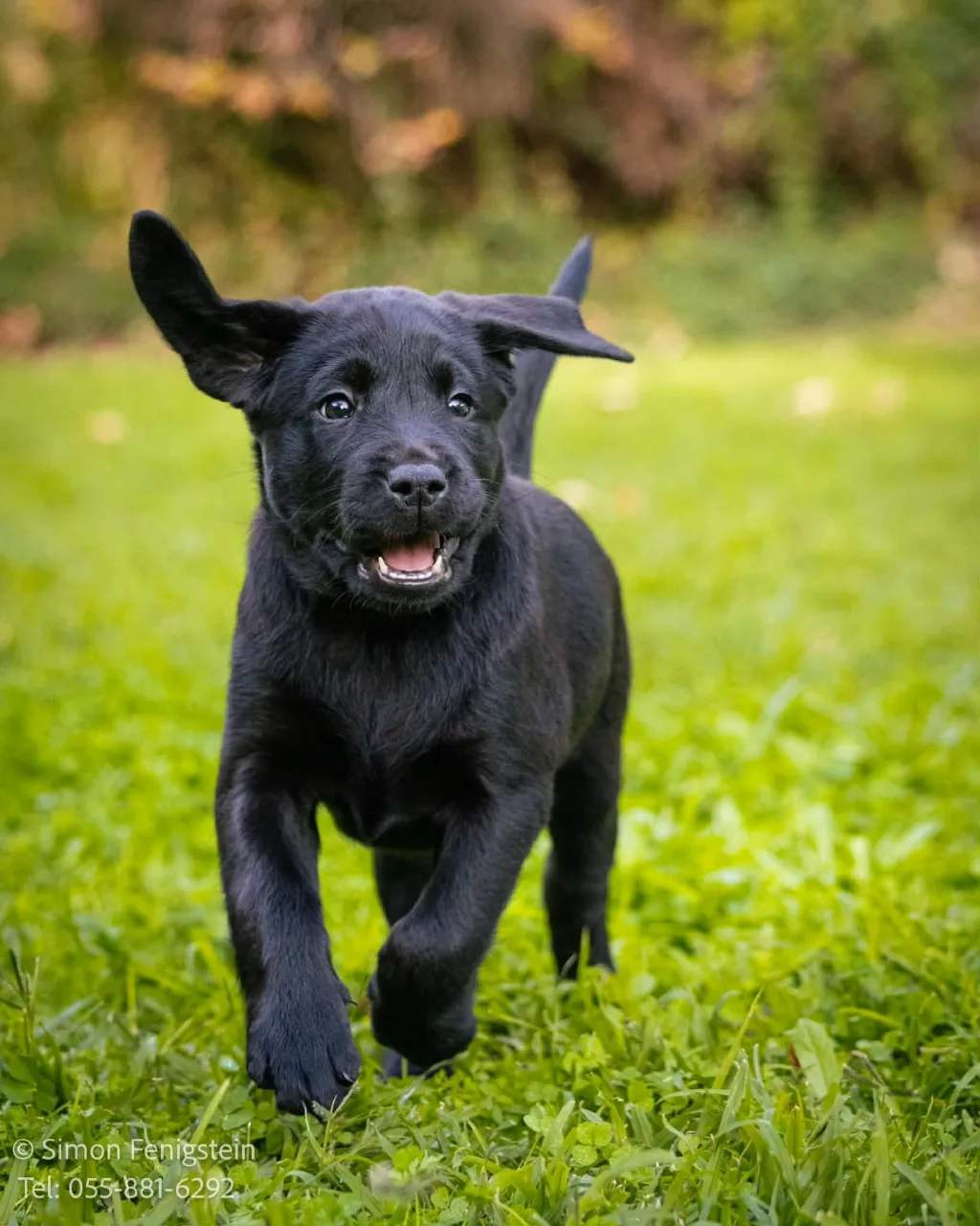 חבילת היכרות