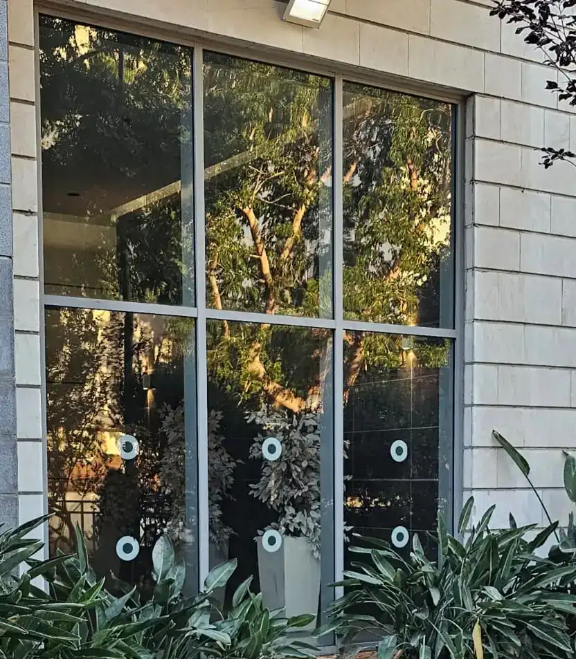 ניקיון חלונות מקצועי – ברק וניקיון לאורך זמן (עד 6 מטר)