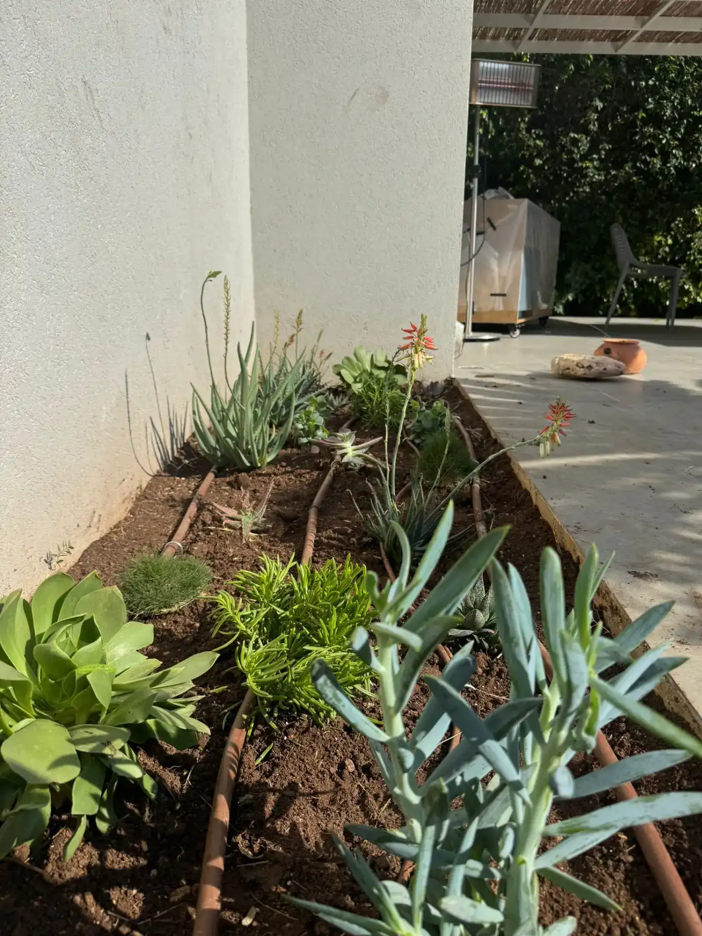 תיקון ובניית מערכות השקייה