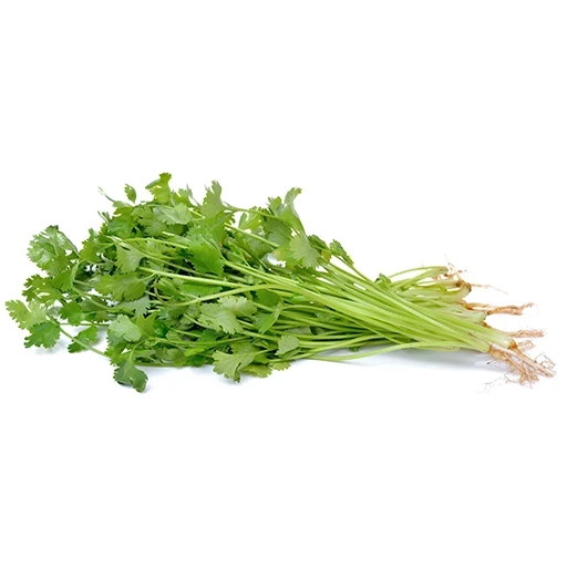 כוסברה - 1 יחידה