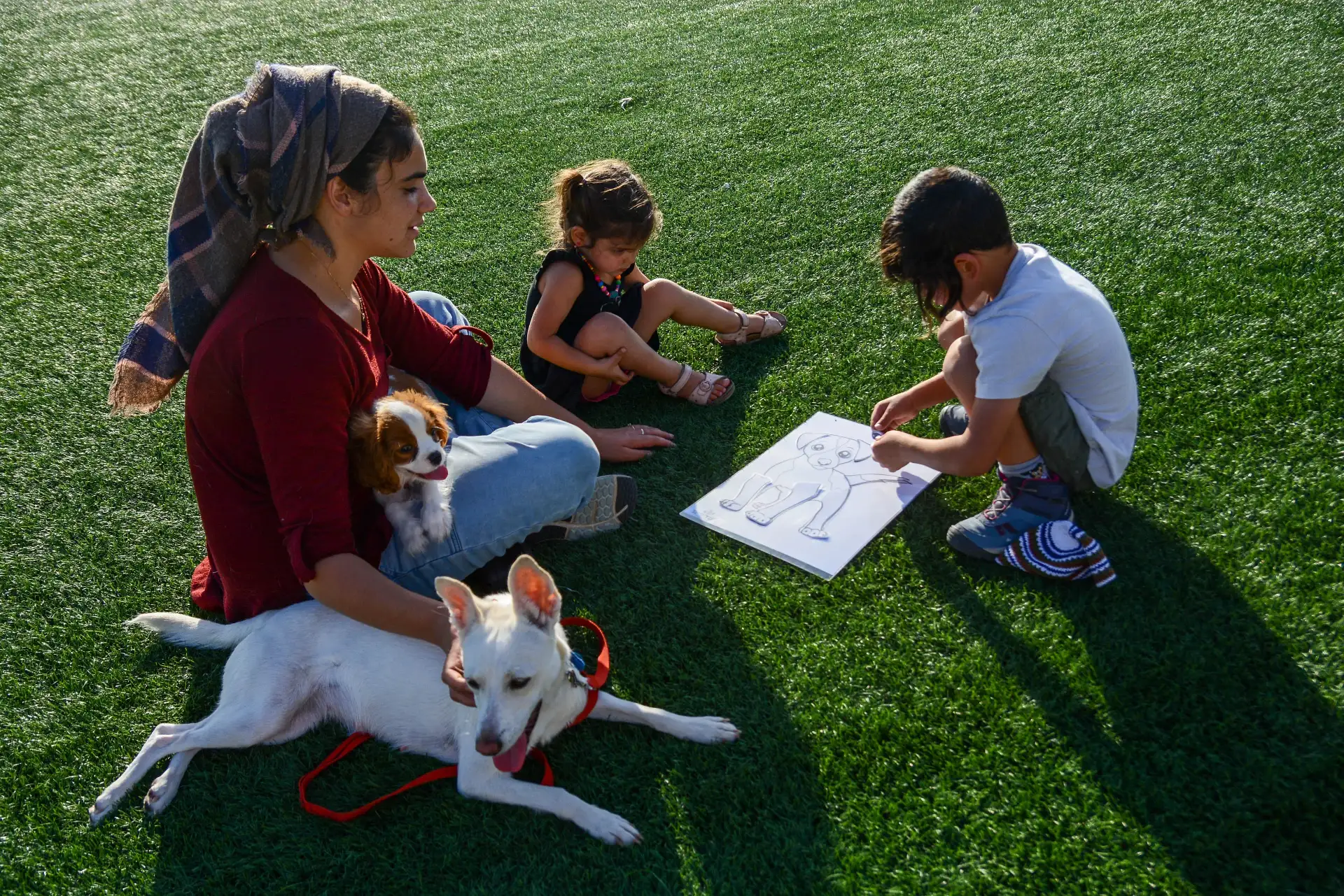 סדרת מפגשים קבוצתיים בבתי ספר דרך מערכת גפן